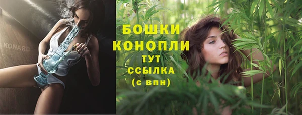 шишки Гусиноозёрск