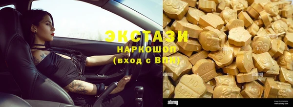 крисы Горняк