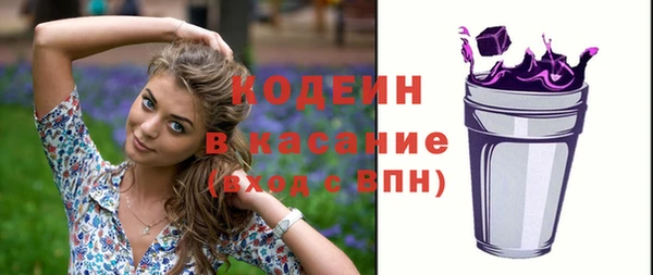 крисы Горняк
