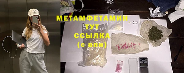 крисы Горняк