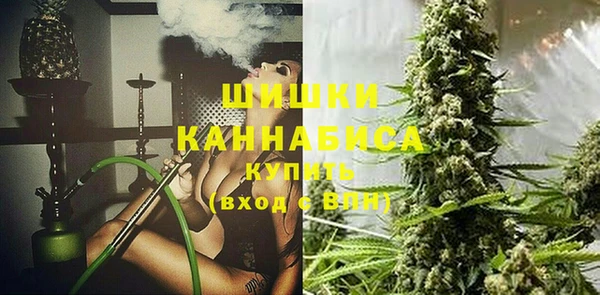 крисы Горняк