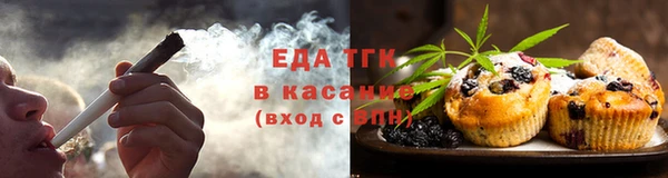 крисы Горняк