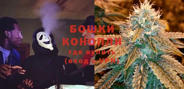 крисы Горняк