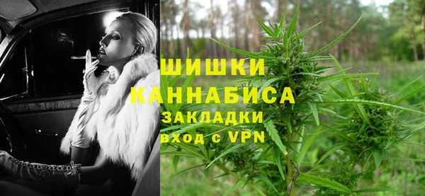 крисы Горняк
