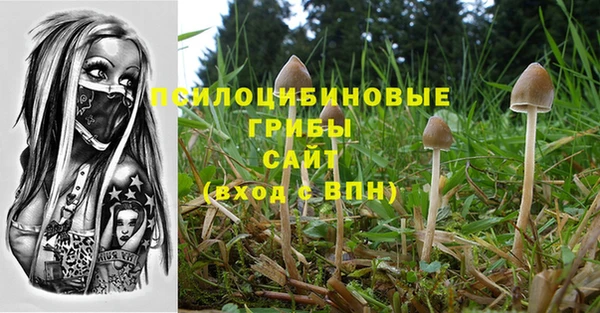 синтетический гашиш Гусев