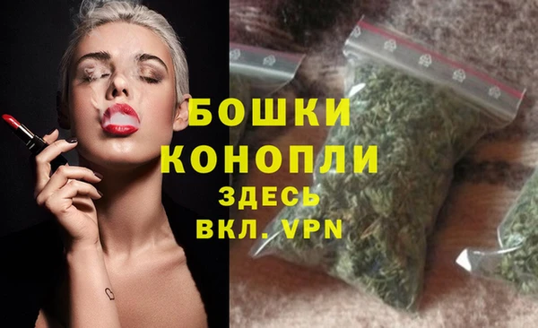 крисы Горняк