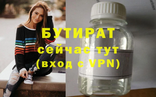 шишки Гусиноозёрск