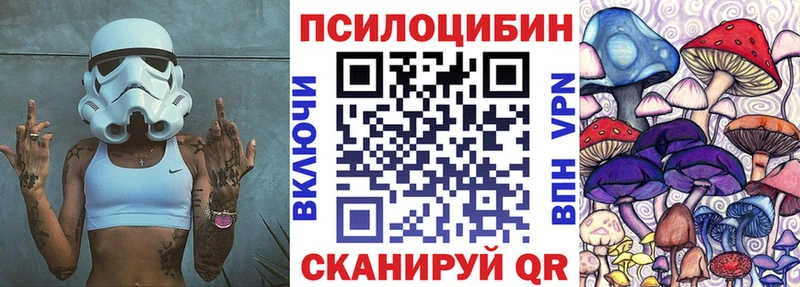 Псилоцибиновые грибы Psilocybine cubensis  Купить  Катайск 