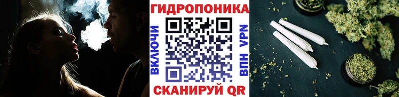 Купить закладки  Катайск  Конопля ГИДРОПОН 